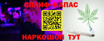 PSILOCYBIN Бийск