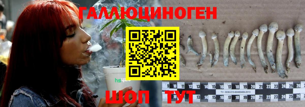 Псилоцибиновые грибы ЛСД Белогорск